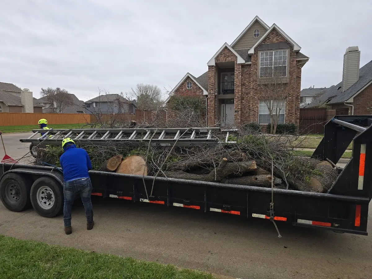 Expert Lot Clearing with proper safety equipment in Pekin